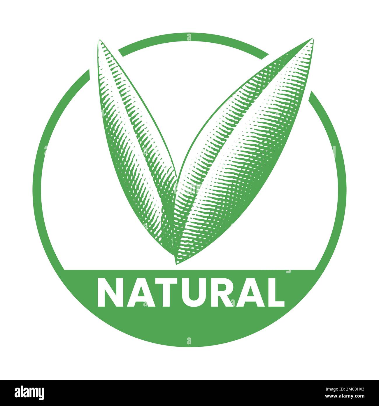 Natural Round Icon with Engraved Green Leaves isolated on a White ...
