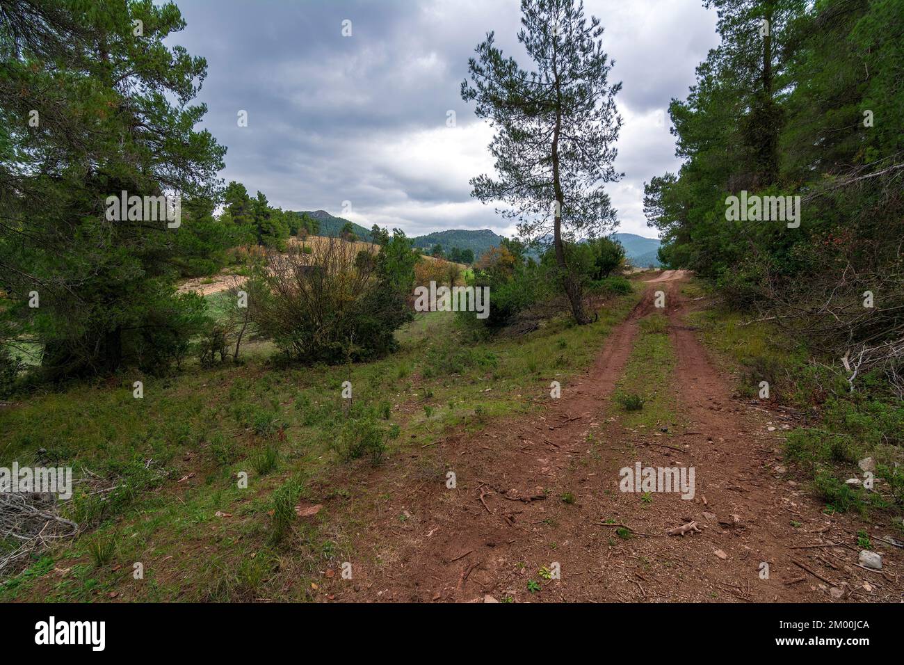Rural road in autumn mountain and colorful trees on slopes. Avlonas ...