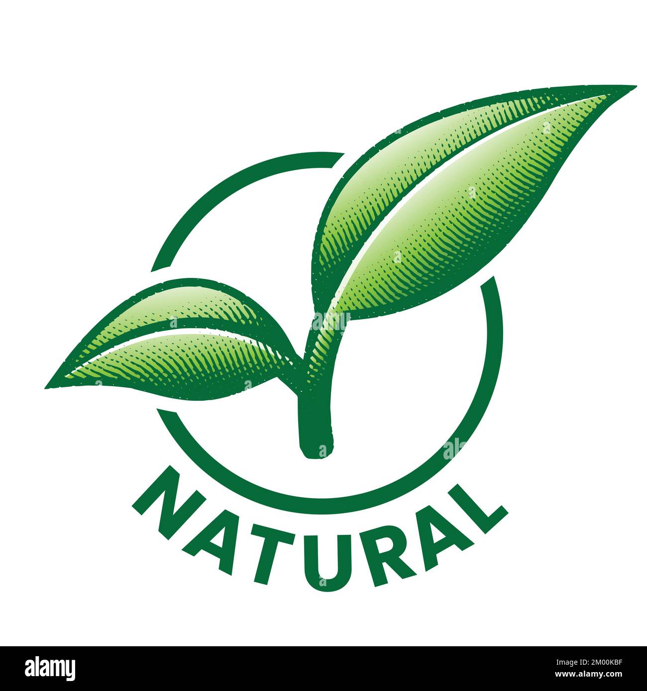 Natural Round Icon with 2 Engraved Green Leaves isolated on a White ...