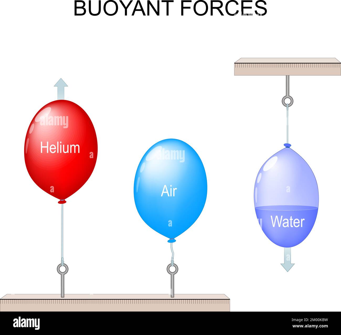 Buoyant Force. scientific experiment with balloons. The forces at work in buoyancy. One Red balloon with gas Helium, and two blue balloon with air and Stock Vector