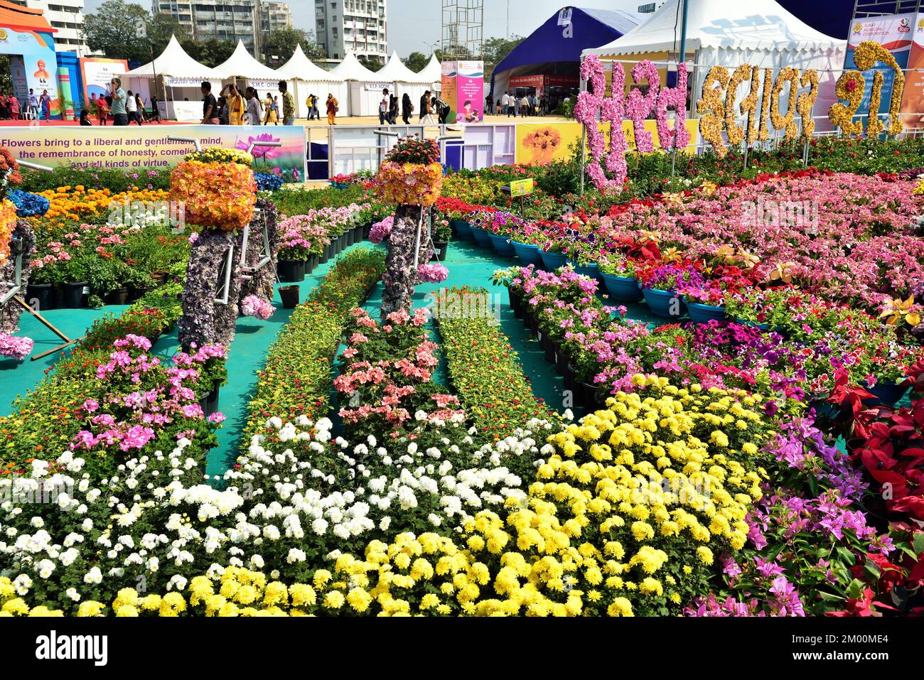 Flower Show, Surat, Gujarat, India, Asia Stock Photo Alamy