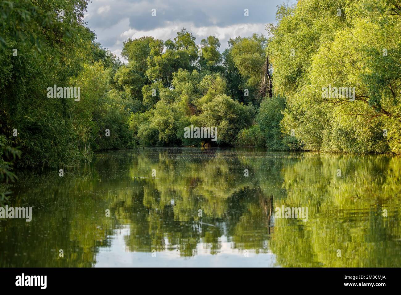 The Lakes and Canals of the Danube Delta in Romania Stock Photo
