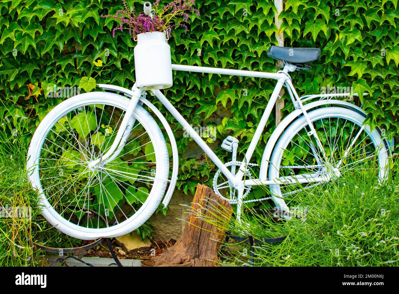 All discount white bike
