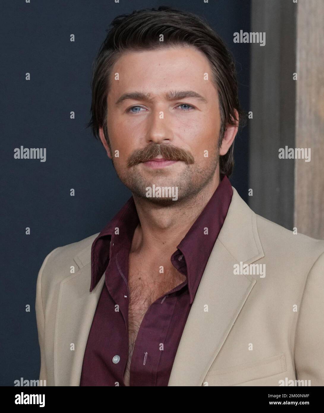 Los Angeles, USA. 02nd Dec, 2022. Brandon Sklenar arrives at the(02)
