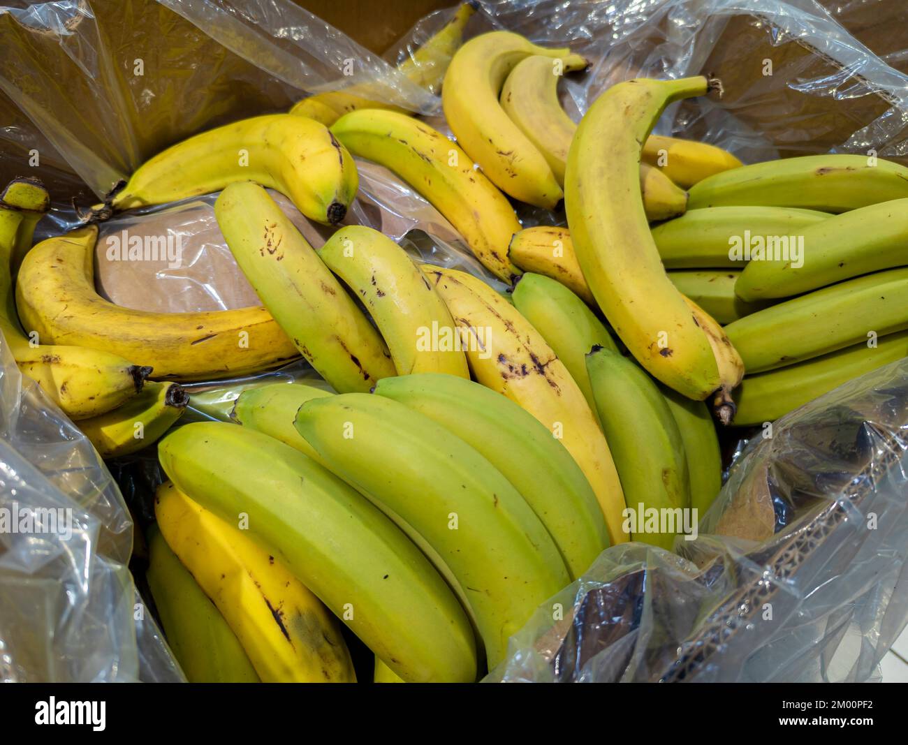 Canarian bananas in cardboard boxes in a supermarket ready for sale Stock Photo