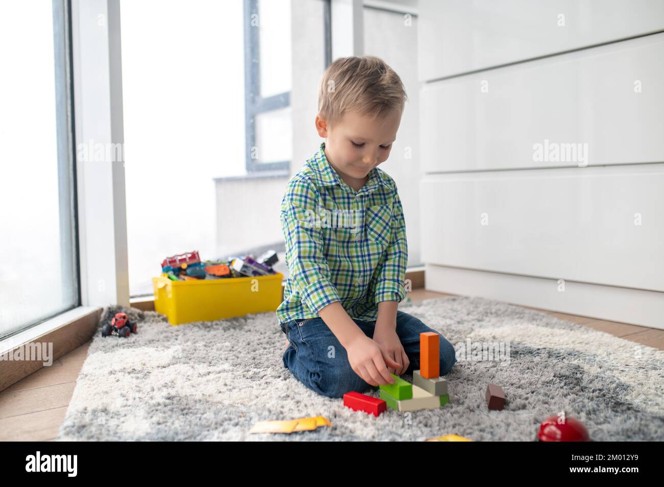 Tranquil concentrated little boy seated on the carpet building an