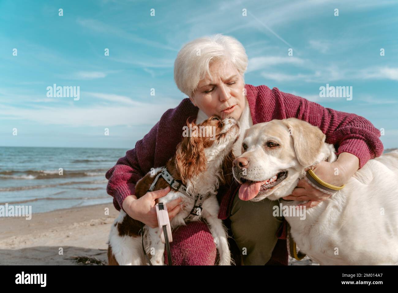 Loving gray-haired Caucasian senior woman hugging her two adorable canine friends on the sandy beach. Stock Photo
