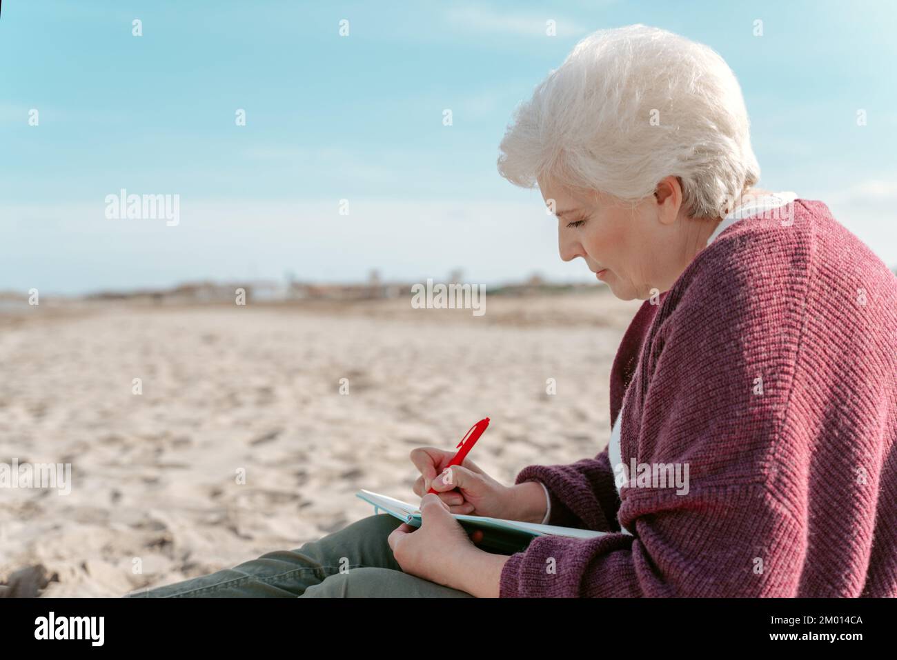 Side view of a focused female diarist sitting on the sand and writing in her diary. Stock Photo