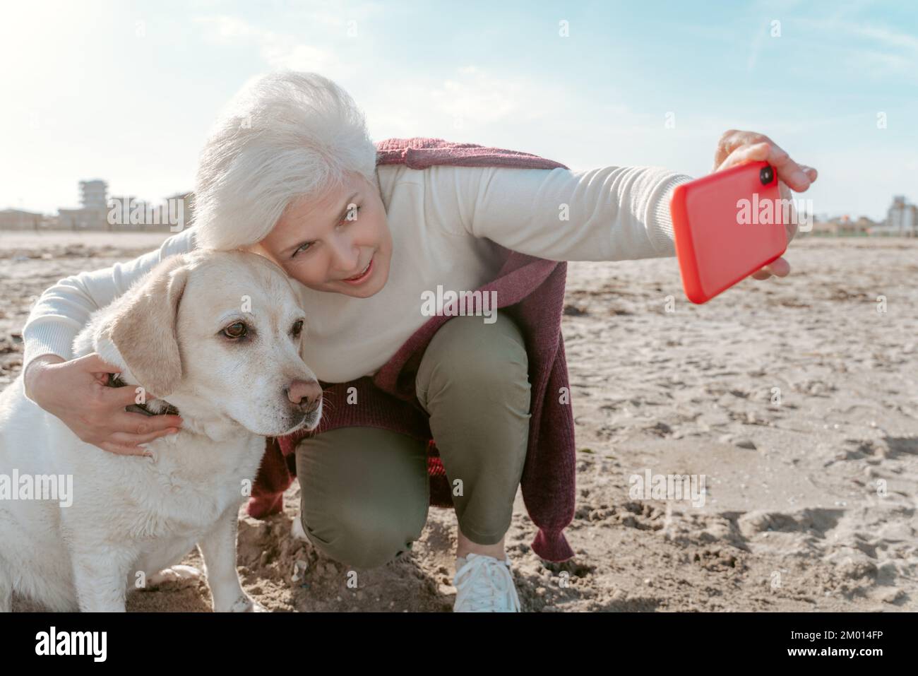 Attractive gray-haired lady sitting on the haunches and taking a selfie with her obedient pet. Stock Photo