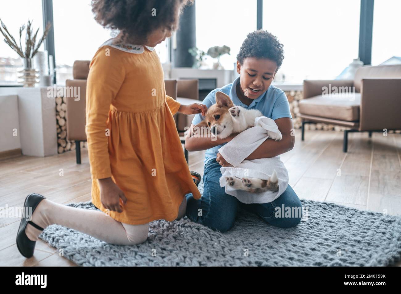 Puppy after washing. Kids drying the puppy with a towel after washing