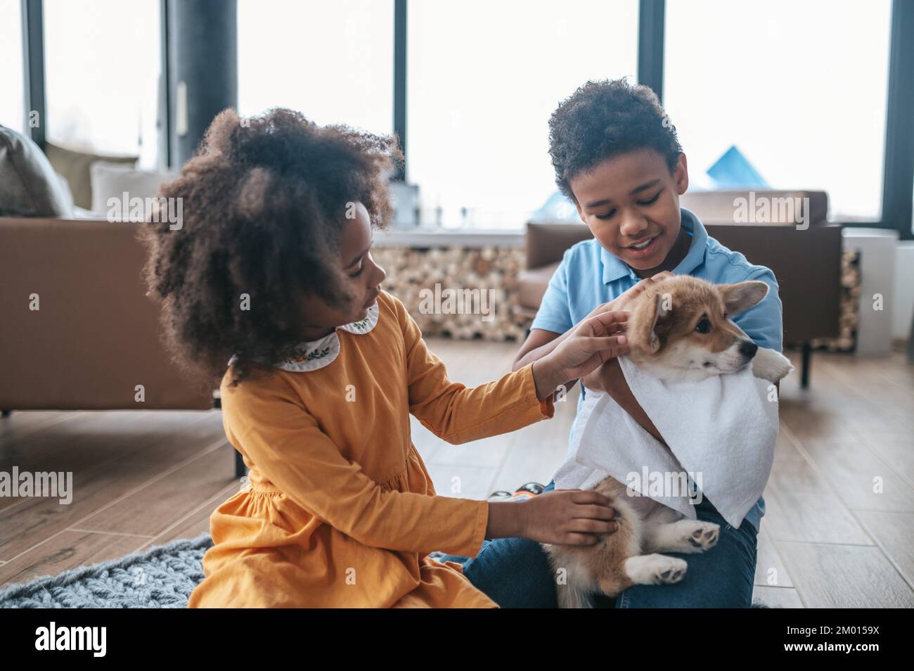 Puppy after washing. Kids drying the puppy with a towel after washing