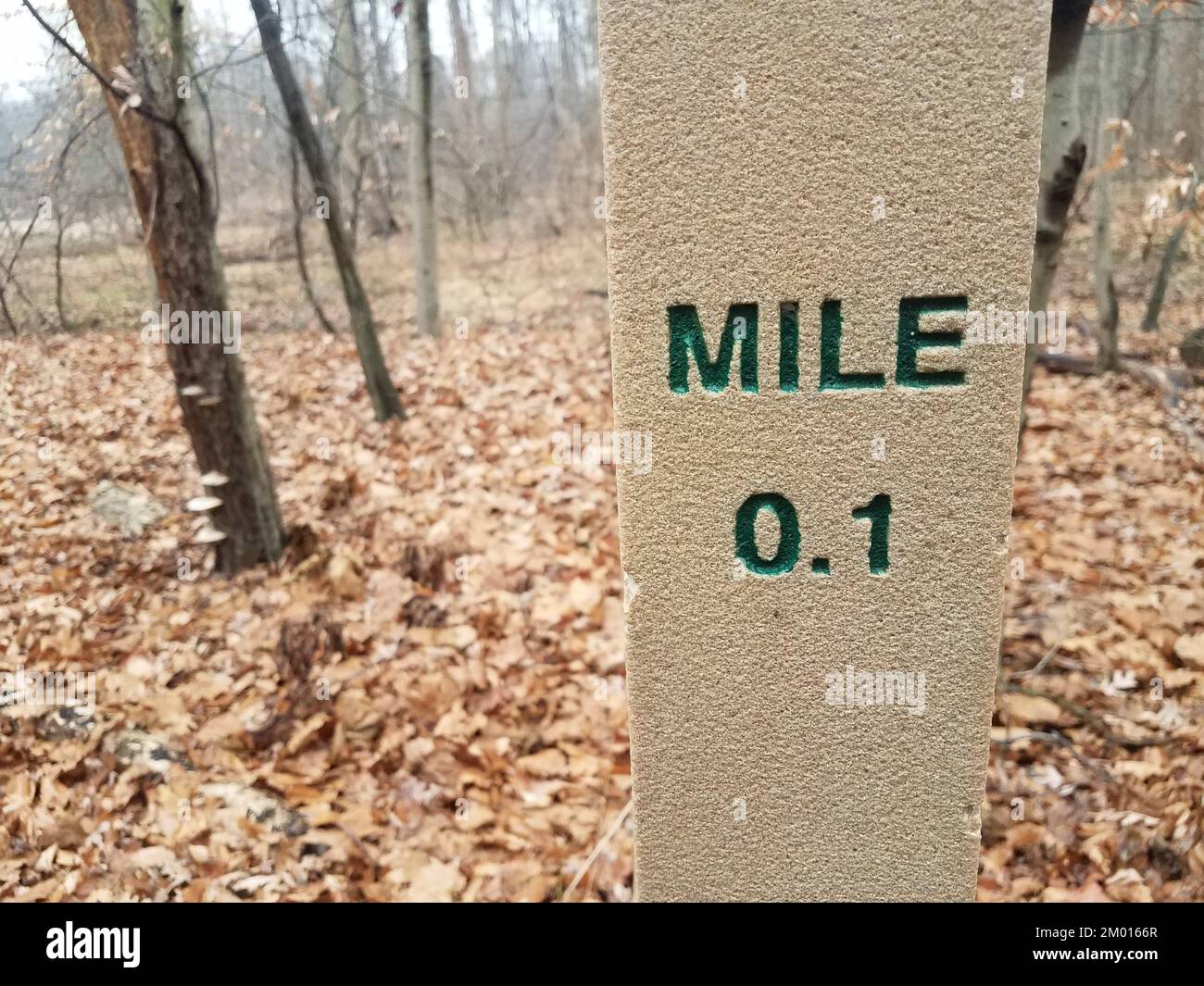 0. 1 mile marker post in forest or woods with fallen leaves. Stock Photo