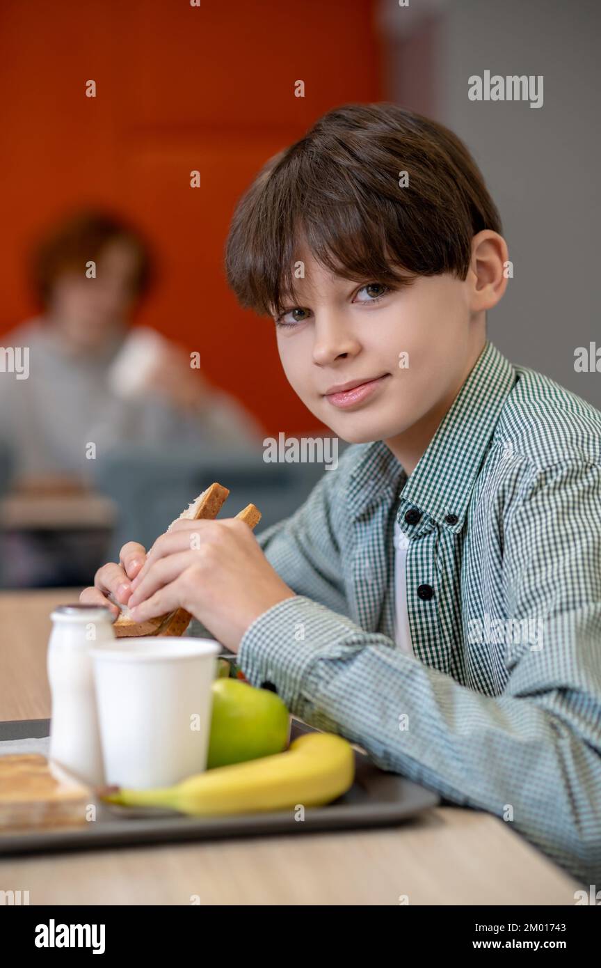 Lunch. Darkhaired boy eating sandwich in a school canteen Stock Photo
