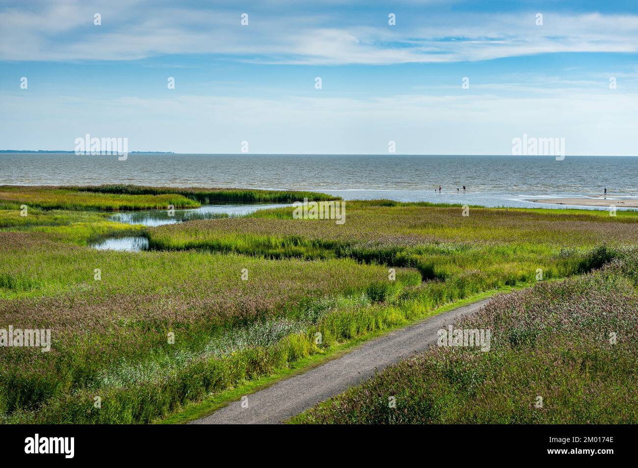 Path leading through coastal meadows to the Baltic Sea. Kavaru coastal ...