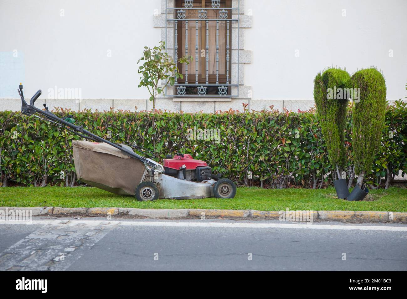 Lawn mower close to pruned bush. Landscaped sidewalks concept. Stock Photo