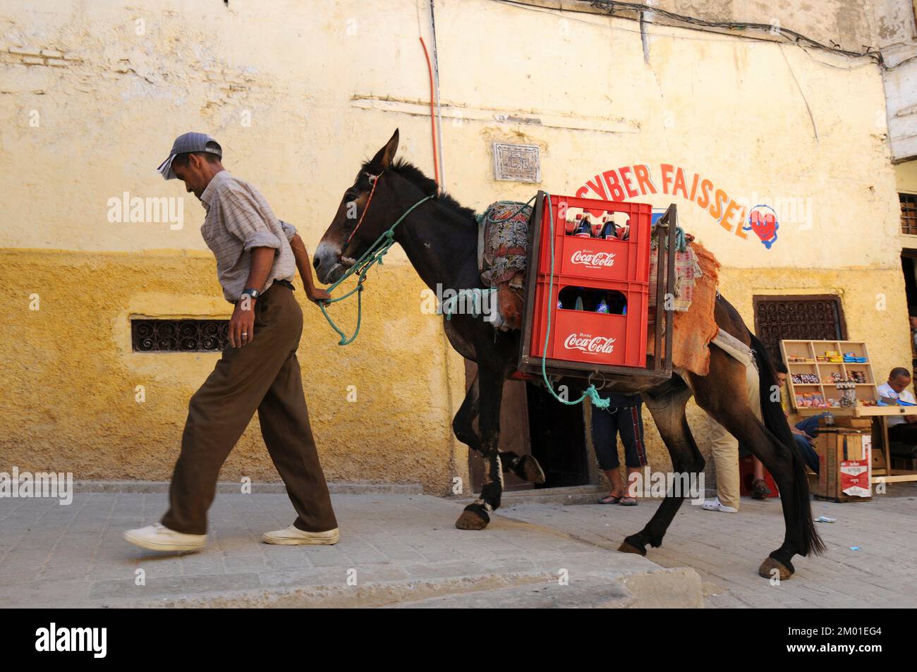 Medina quarter of Fes (World Heritage Site), transport of goods with a mule. Morocco. Stock Photo