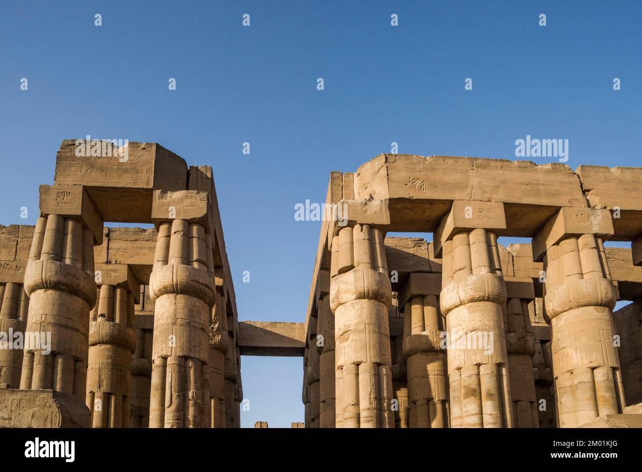 Lotus bud capital columns. Hypostyle Hall. Luxor Temple, Luxor, Luxor