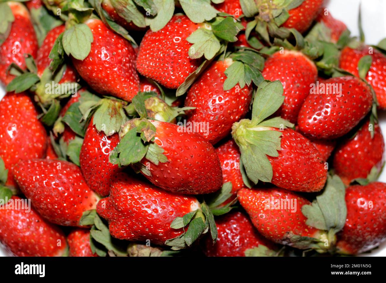 Pile of fresh strawberries fruit, the garden strawberry is a widely