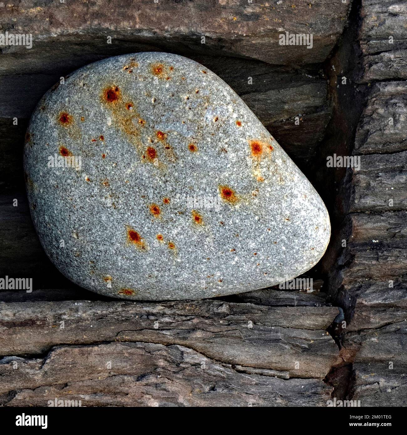 Colour photograph of coastal rock on beach smoothed and rounded by the passages of time and tide containing stone cobble with grained patterns Stock Photo
