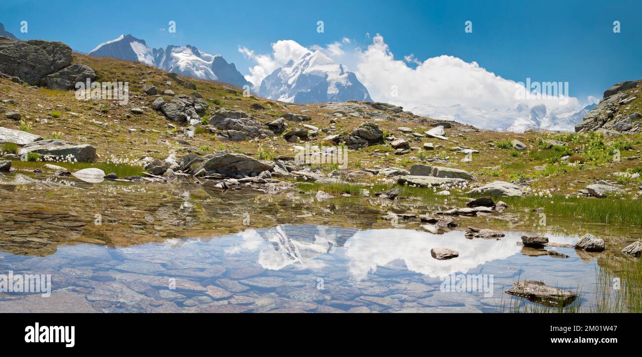 The panorama of Piz Bernina and Piz Roseg peaks. Stock Photo
