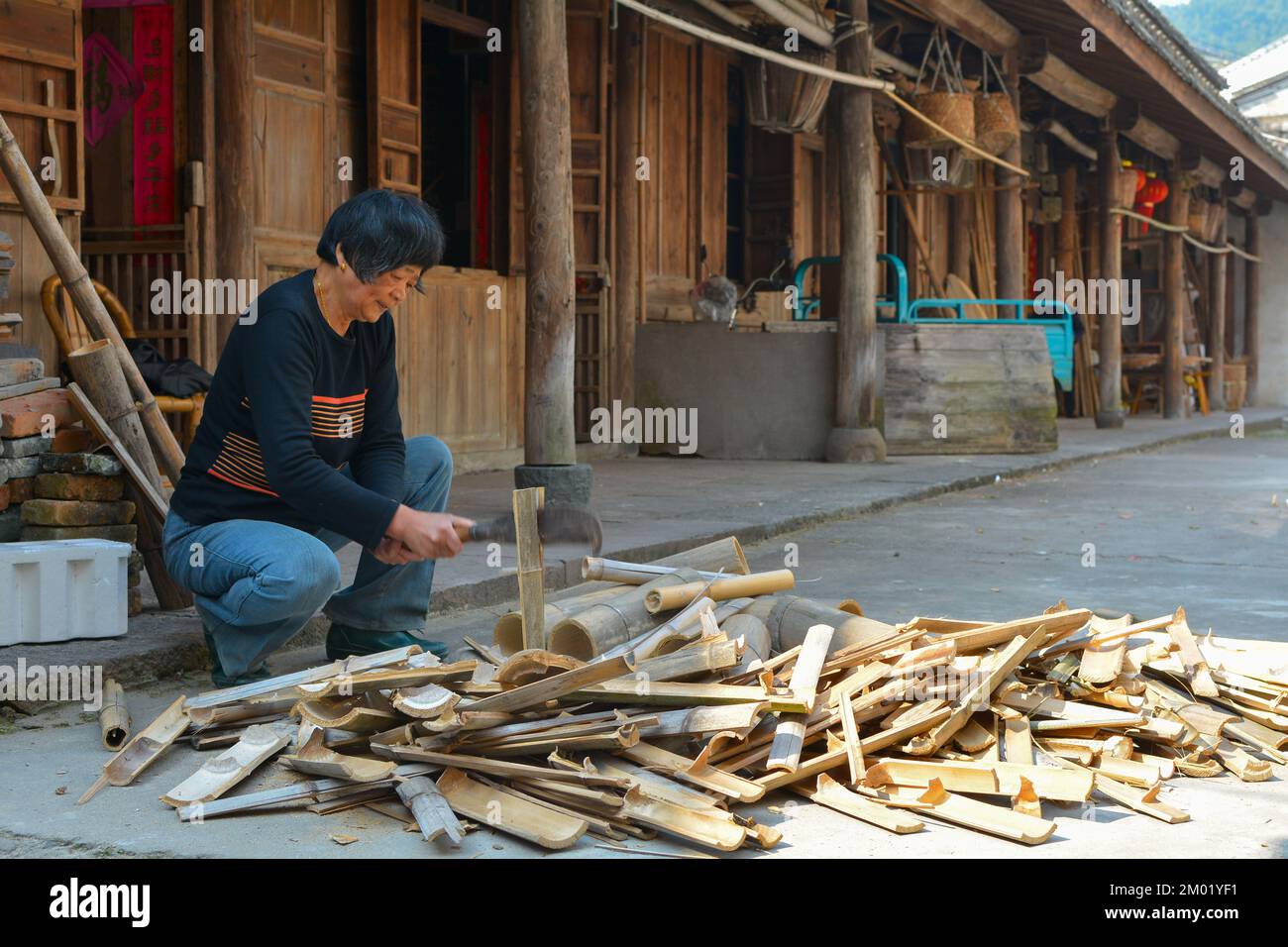 Bamboo being chopped by a woman in a remote mountain village in China Stock Photo