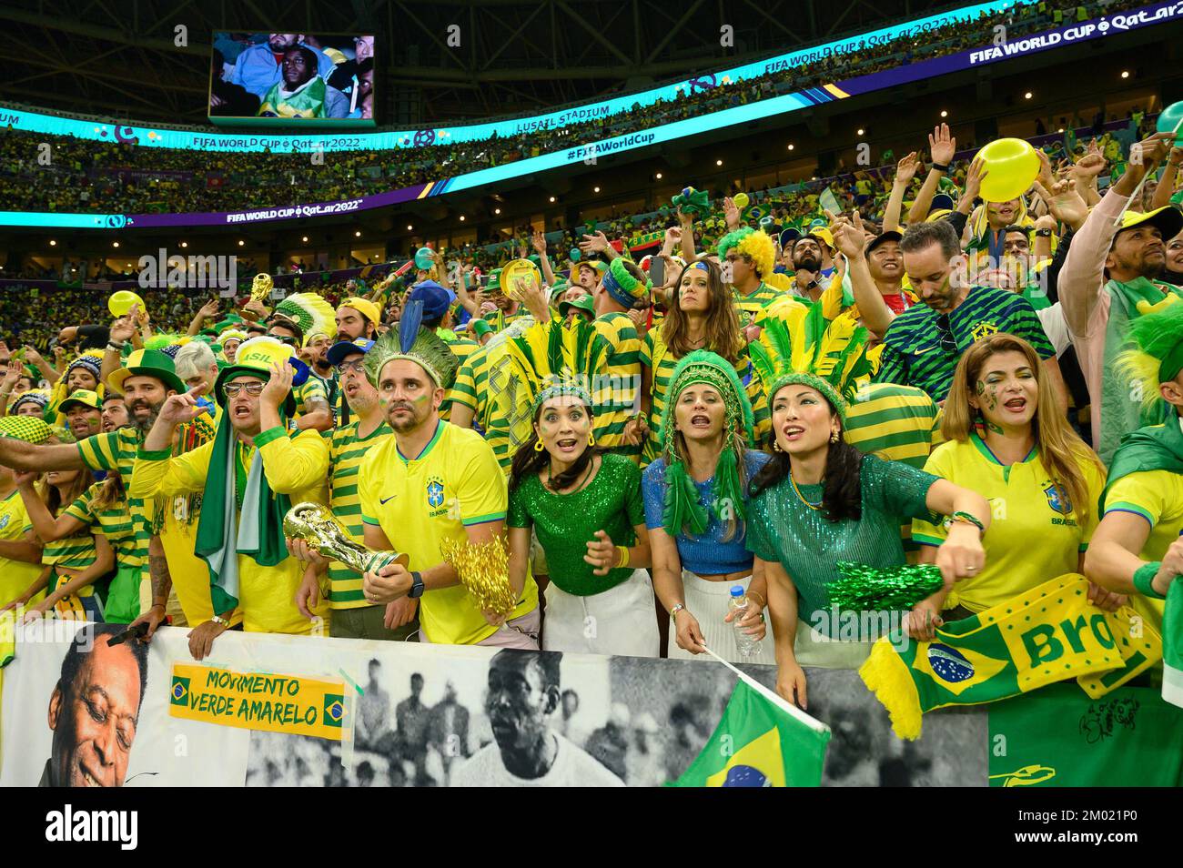 Brazilian fans attend Cameroon v Brazil match of the Fifa World Cup