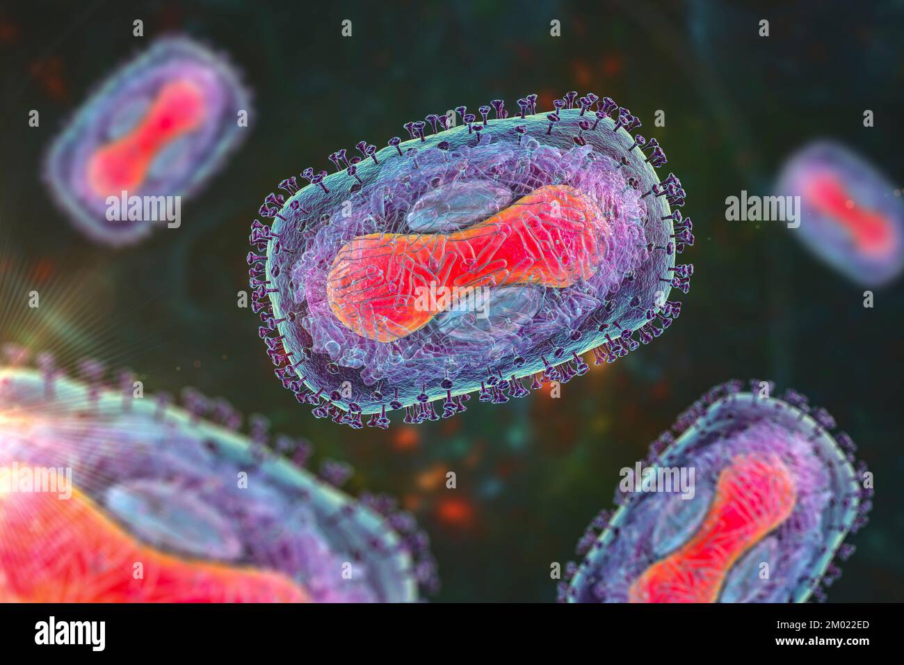 Monkeypox virus particles, illustration. Monkeypox virus particles are composed of a DNA (deoxyribonucleic acid) genome surrounded by a protein coat a Stock Photo