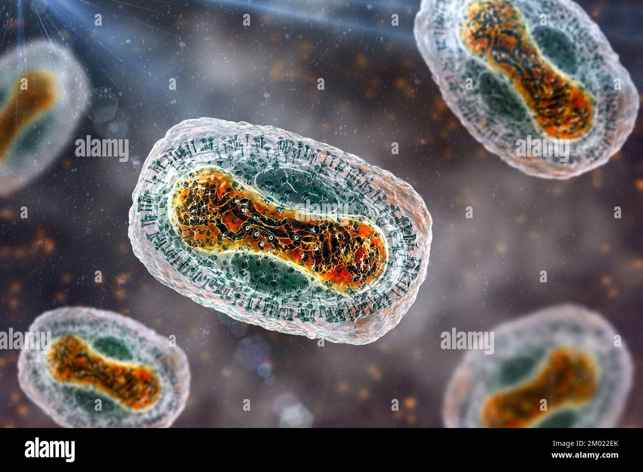 Monkeypox virus particles, illustration. Monkeypox virus particles are composed of a DNA (deoxyribonucleic acid) genome surrounded by a protein coat a Stock Photo