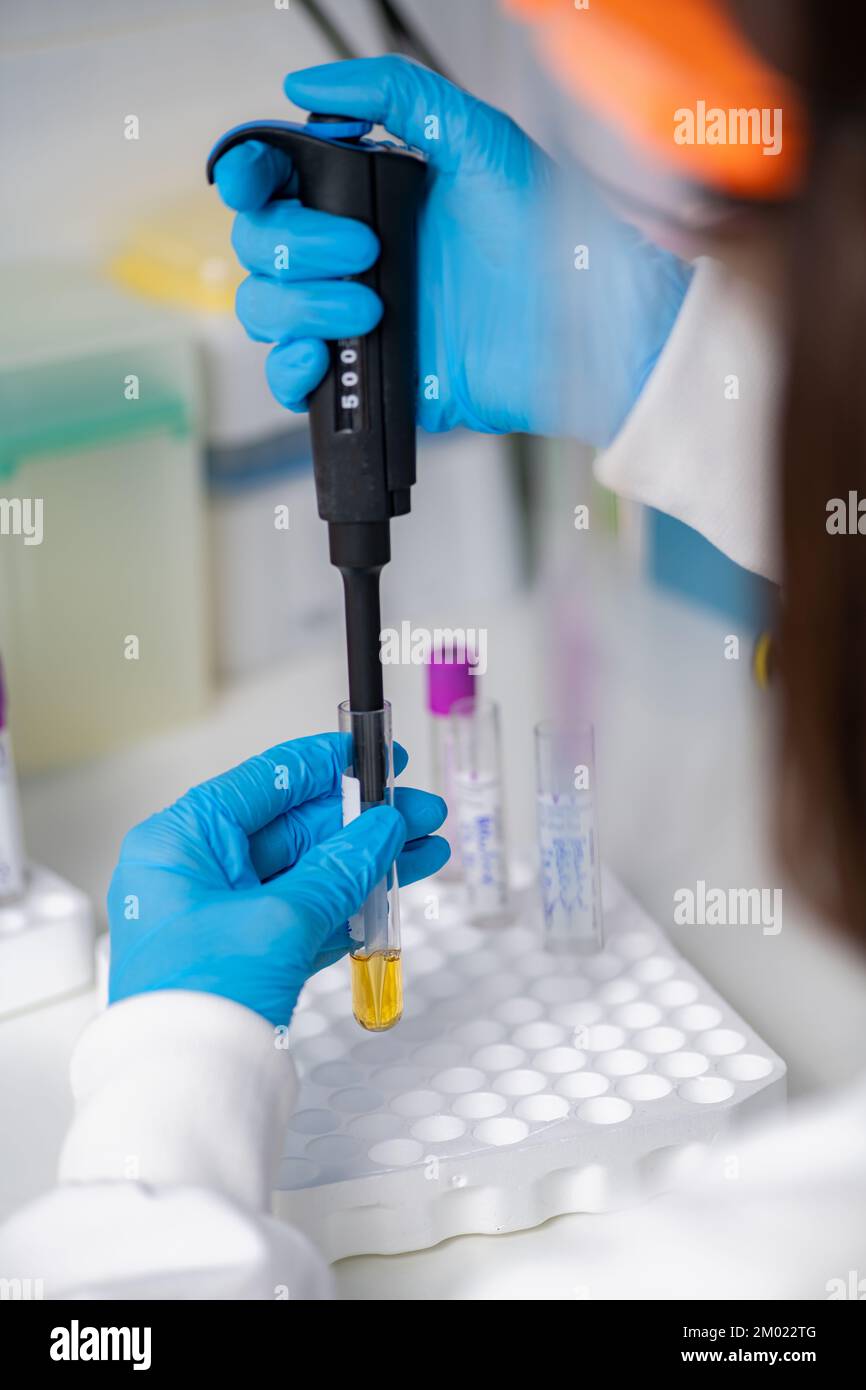 Lab technician pipetting a sample Stock Photo