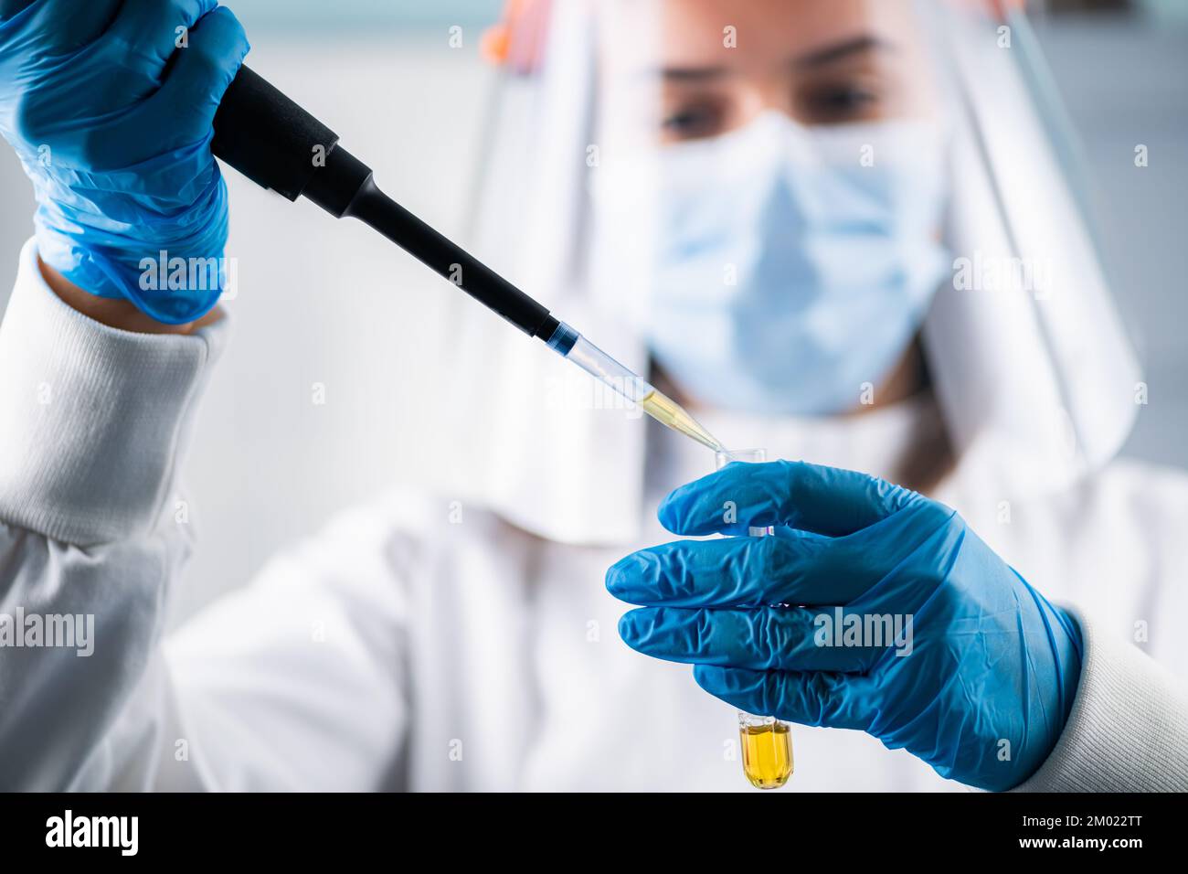 Researcher pipetting a sample. Stock Photo