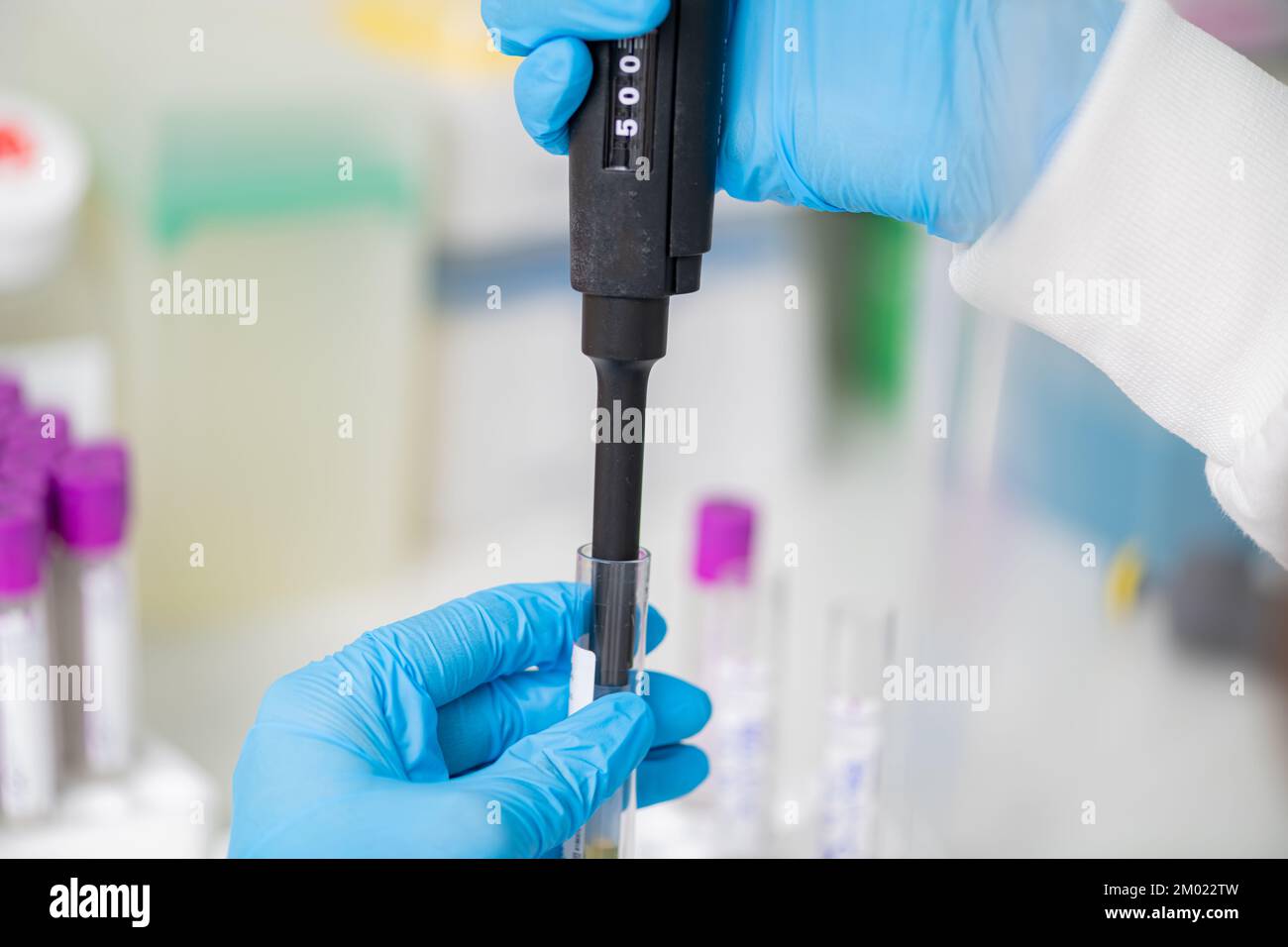 Researcher using a micropipette in a lab Stock Photo Alamy