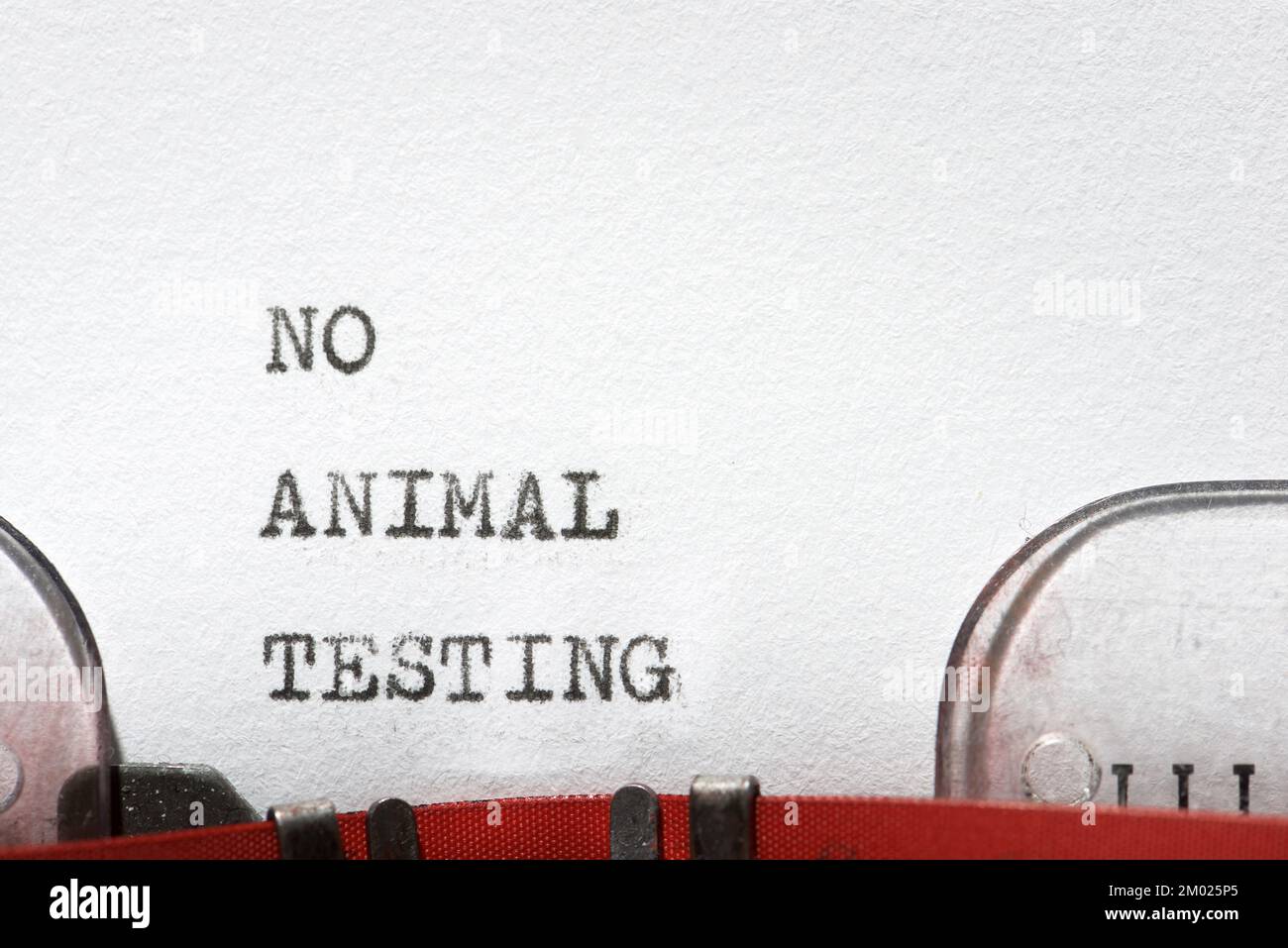 No animal testing phrase written with a typewriter Stock Photo - Alamy