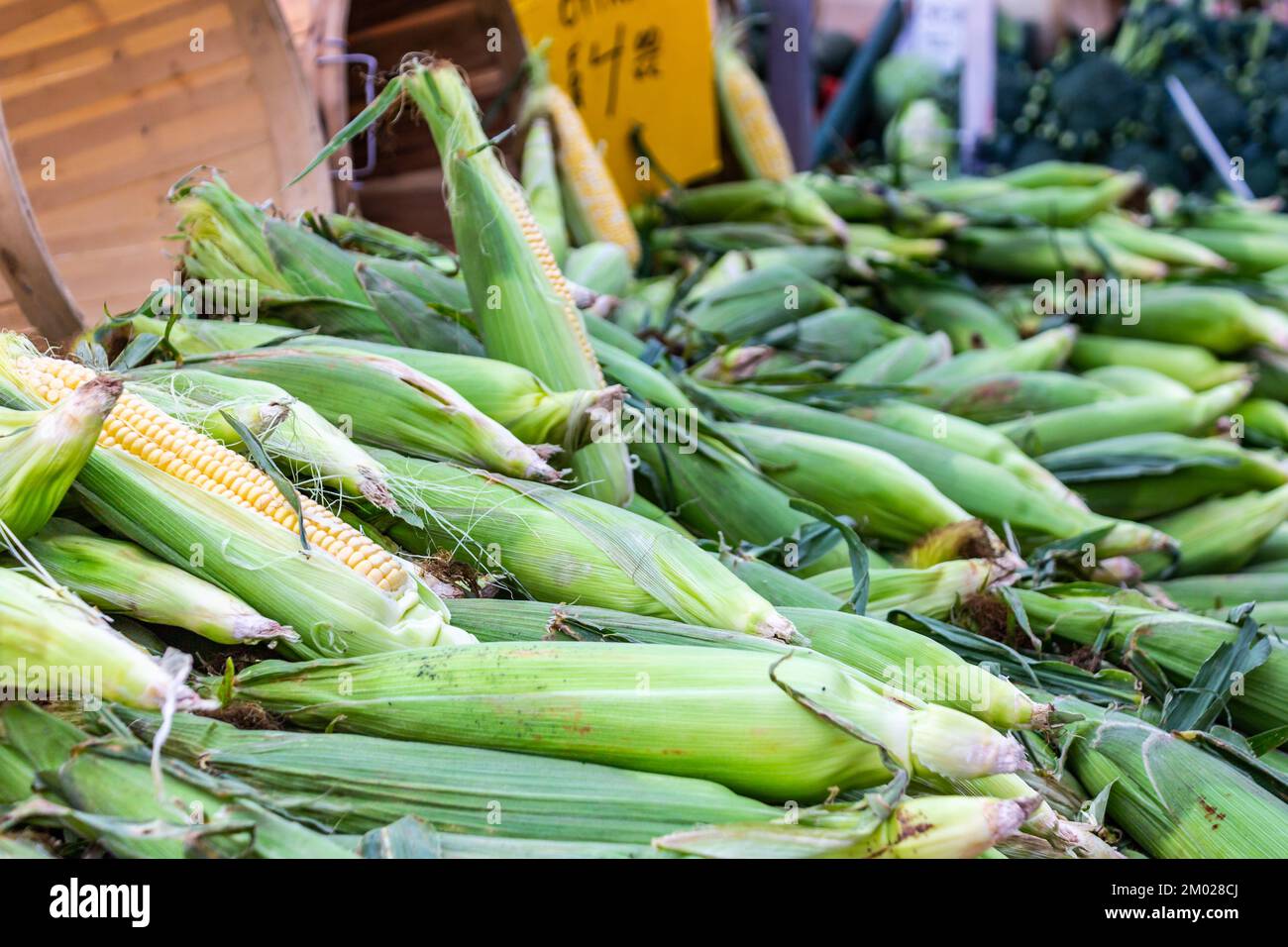 Corn for sale at farmers' market Stock Photo Alamy