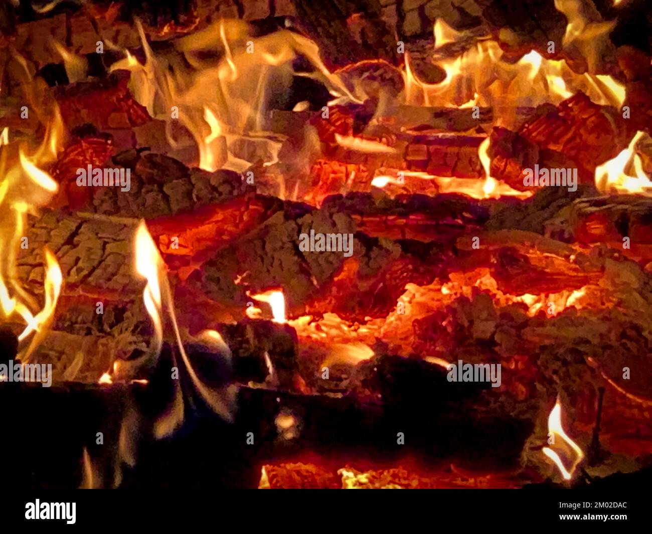 Big Bonfire in the woods on November 7 during a wind storm in Northern