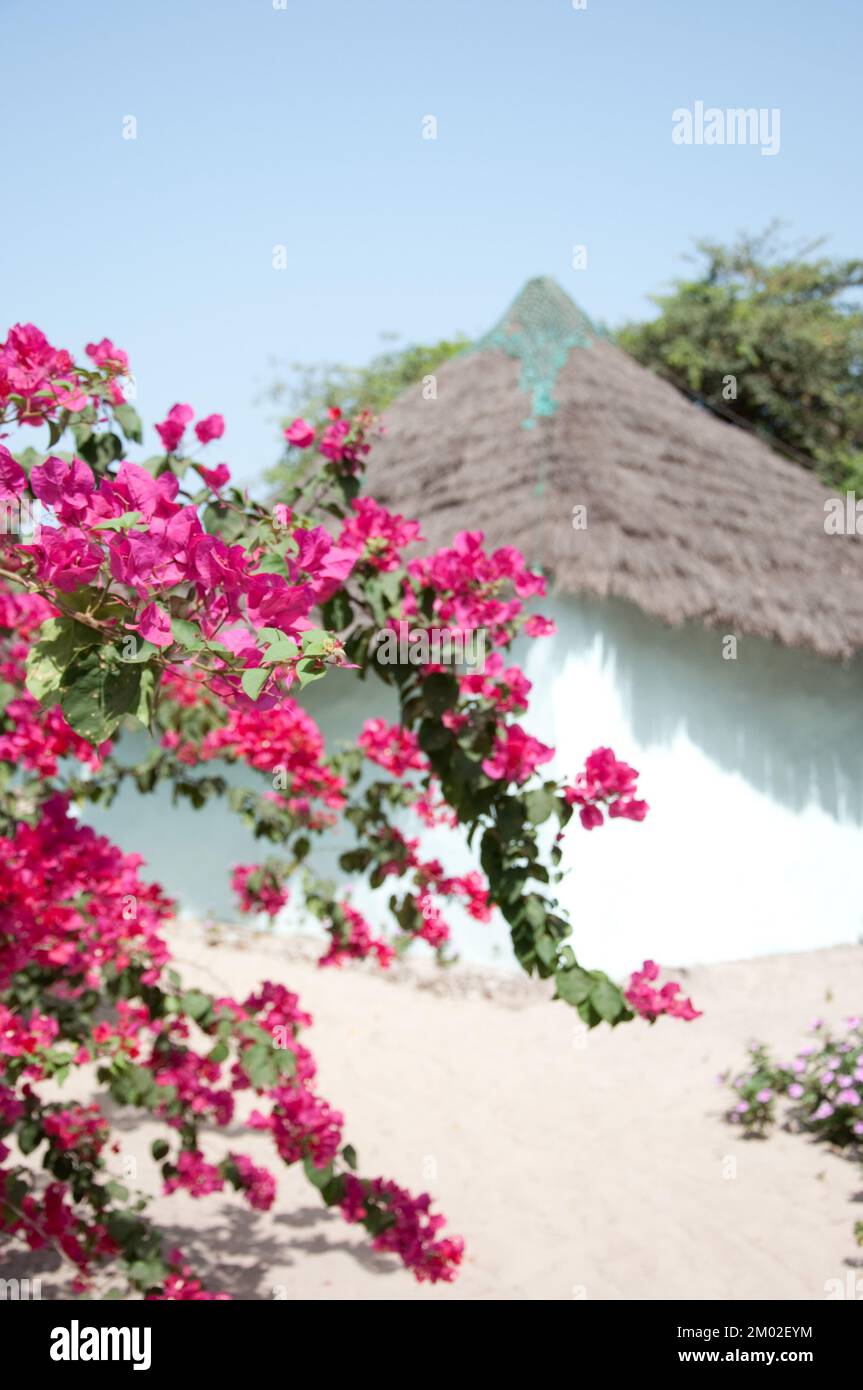 Chez Claude Resort, Island of Joao Viera, Guinea Bissau Stock Photo - Alamy