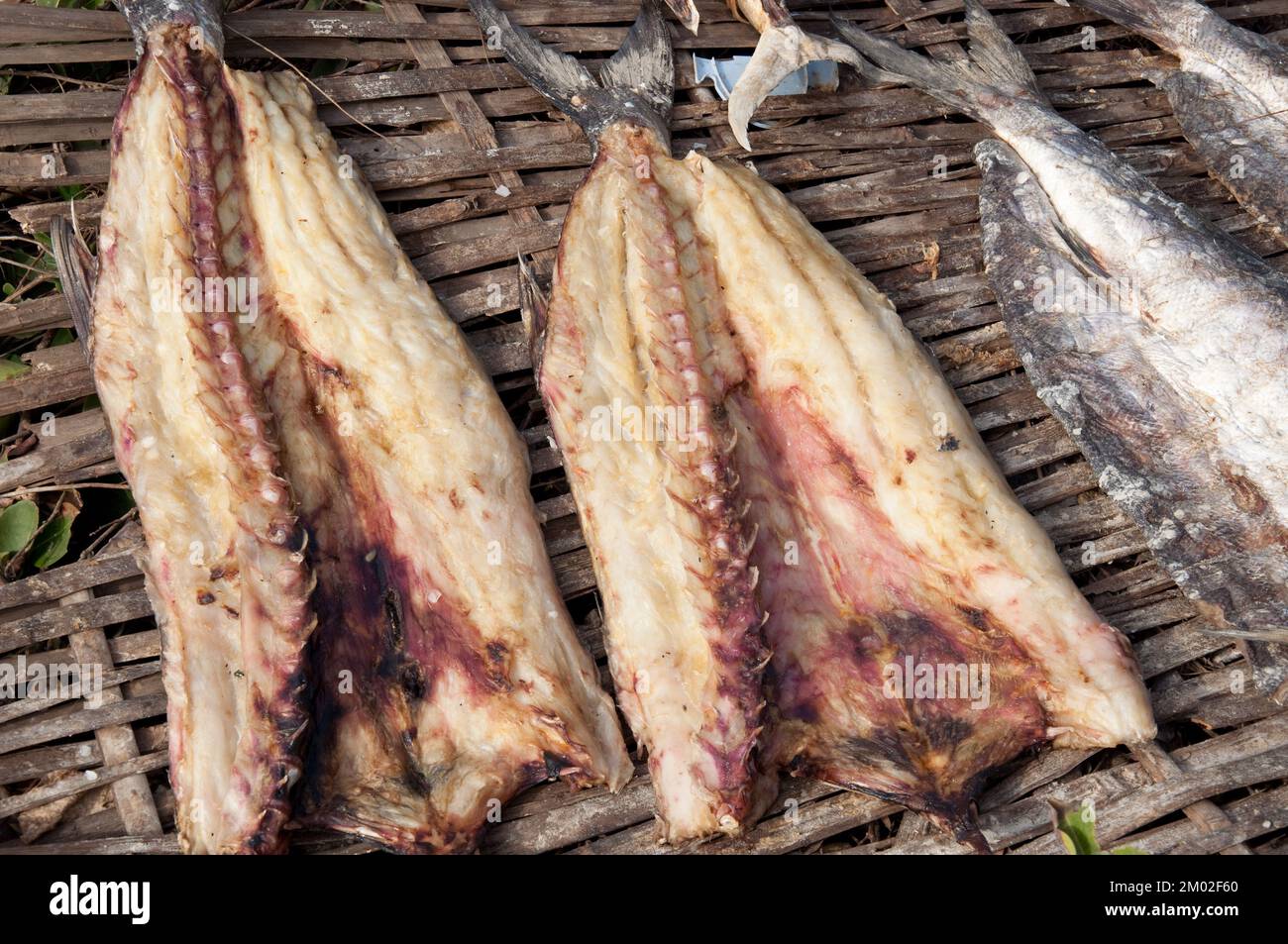 Drying fish in the sun, Island of Joao Viera, Guinea Bissau Stock Photo