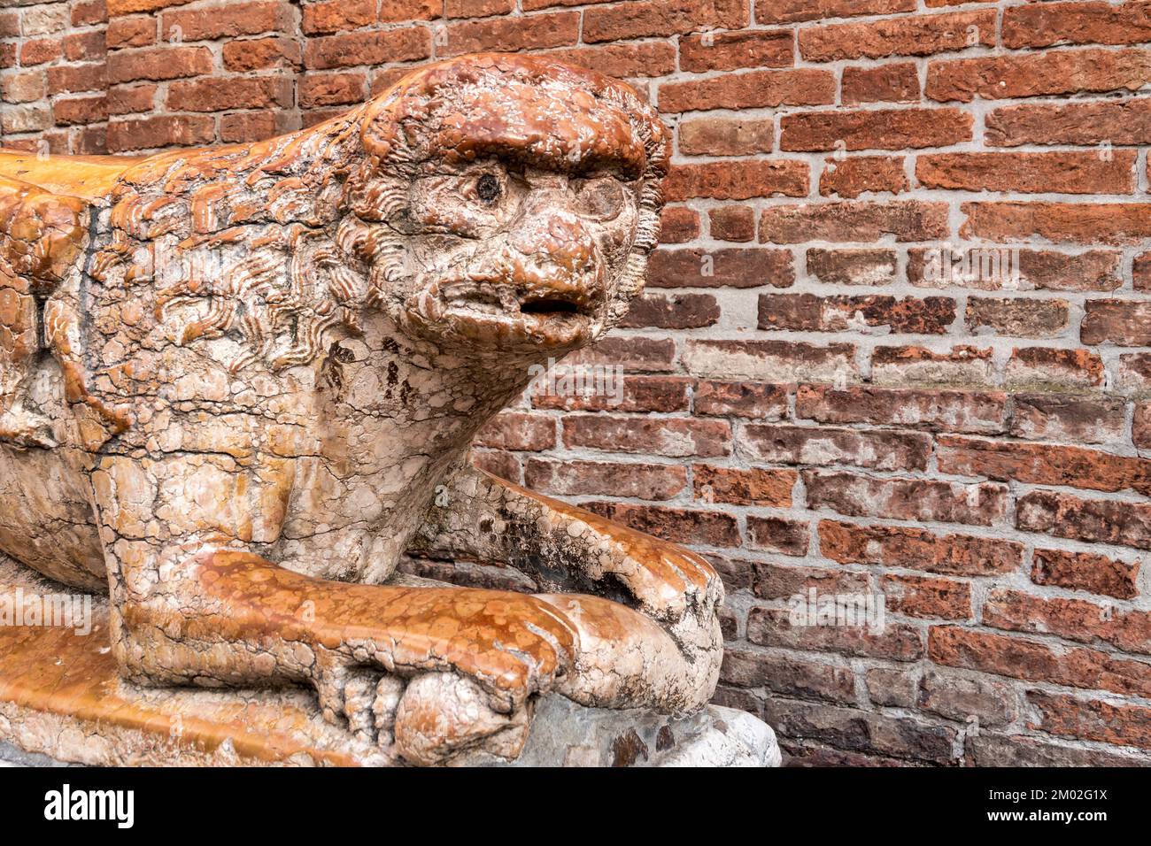 Lion sculpture near the main portal of the Cathedral, Ferrara, Stock Photo