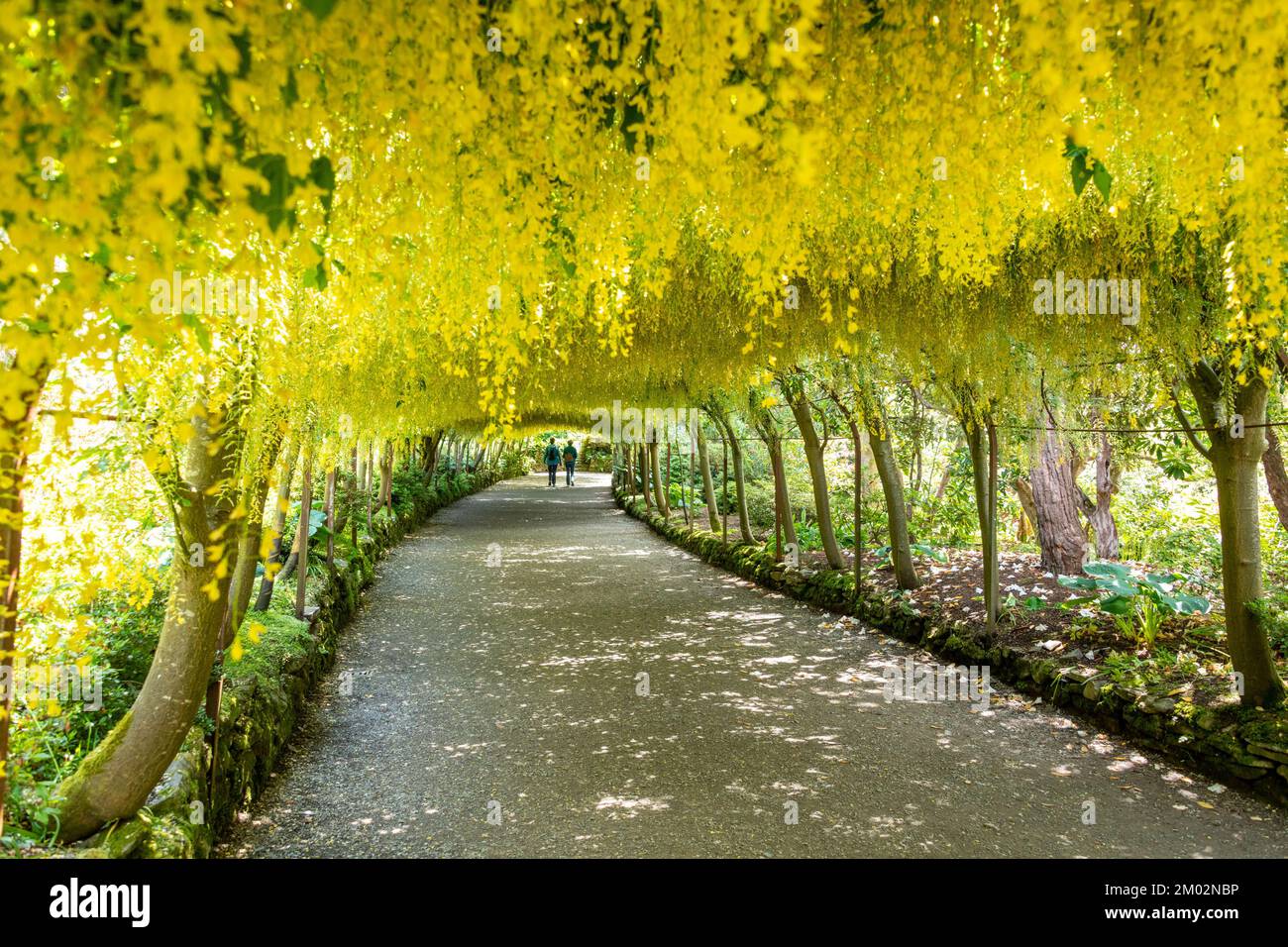 Bodnant Gardens Stock Photo