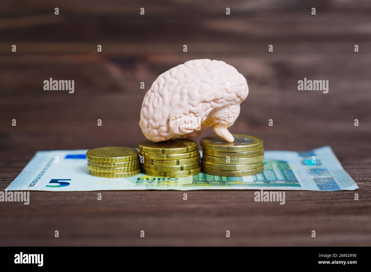 Anatomical copy of a human brain placed on euro coins stacks on a wooden table. Wise investment decisions concept. Stock Photo