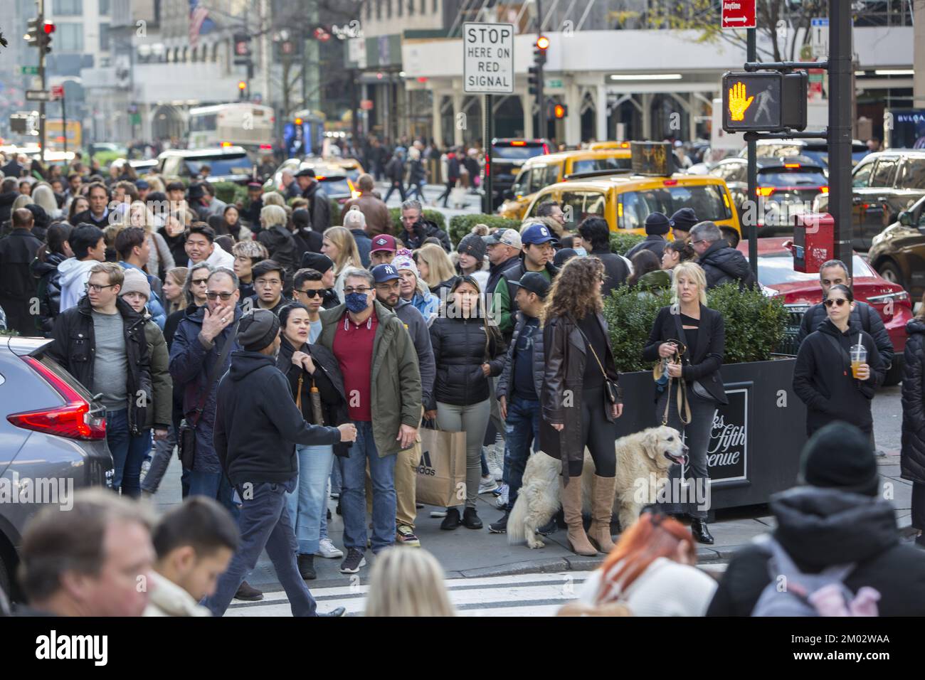 Black Friday Crowds On 5th Avenue And 50th Street At Rockefeller Center ...