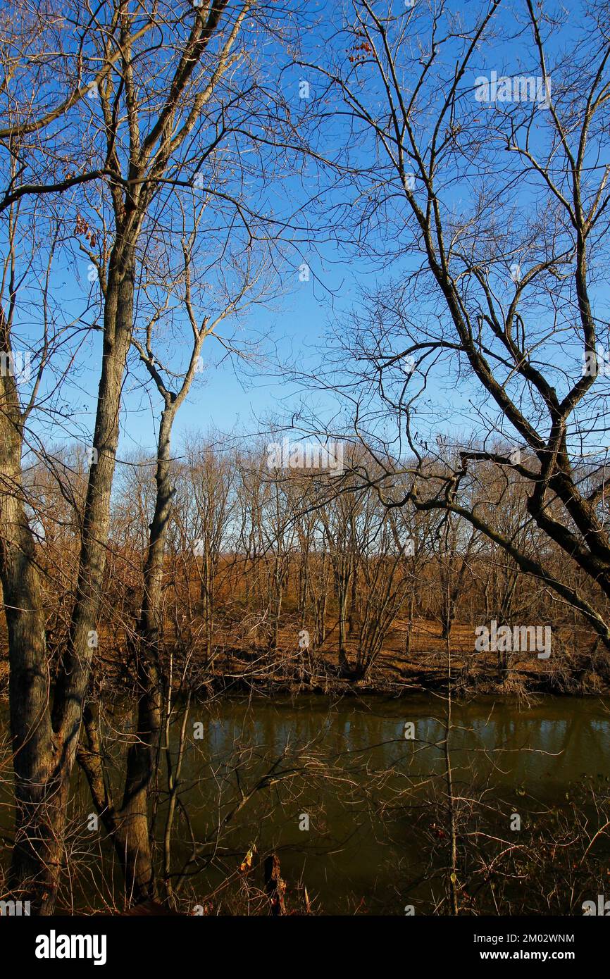 Scioto Grove Metro Park In Autumn Grove City Ohio Stock Photo Alamy scioto-grove-metro-park-in-autumn-grove-city-ohio-stock-photo-alamy