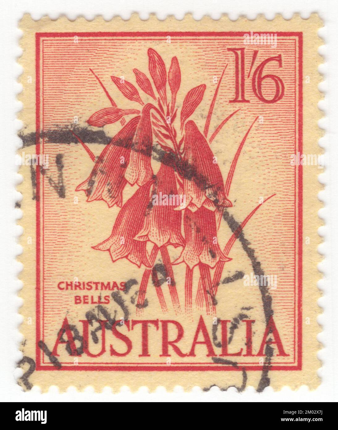 AUSTRALIA — 1960 February 3: An 1 shilling 6 pence red on yellow postage stamp depicting Christmas bells. Actinotus helianthi, known as the flannel flower, is a common species of flowering plant native to the bushland around Sydney. It was named and first described by the French botanist Jacques Labillardière in his Novae Hollandiae Plantarum Specimen the first general flora of Australia Stock Photo