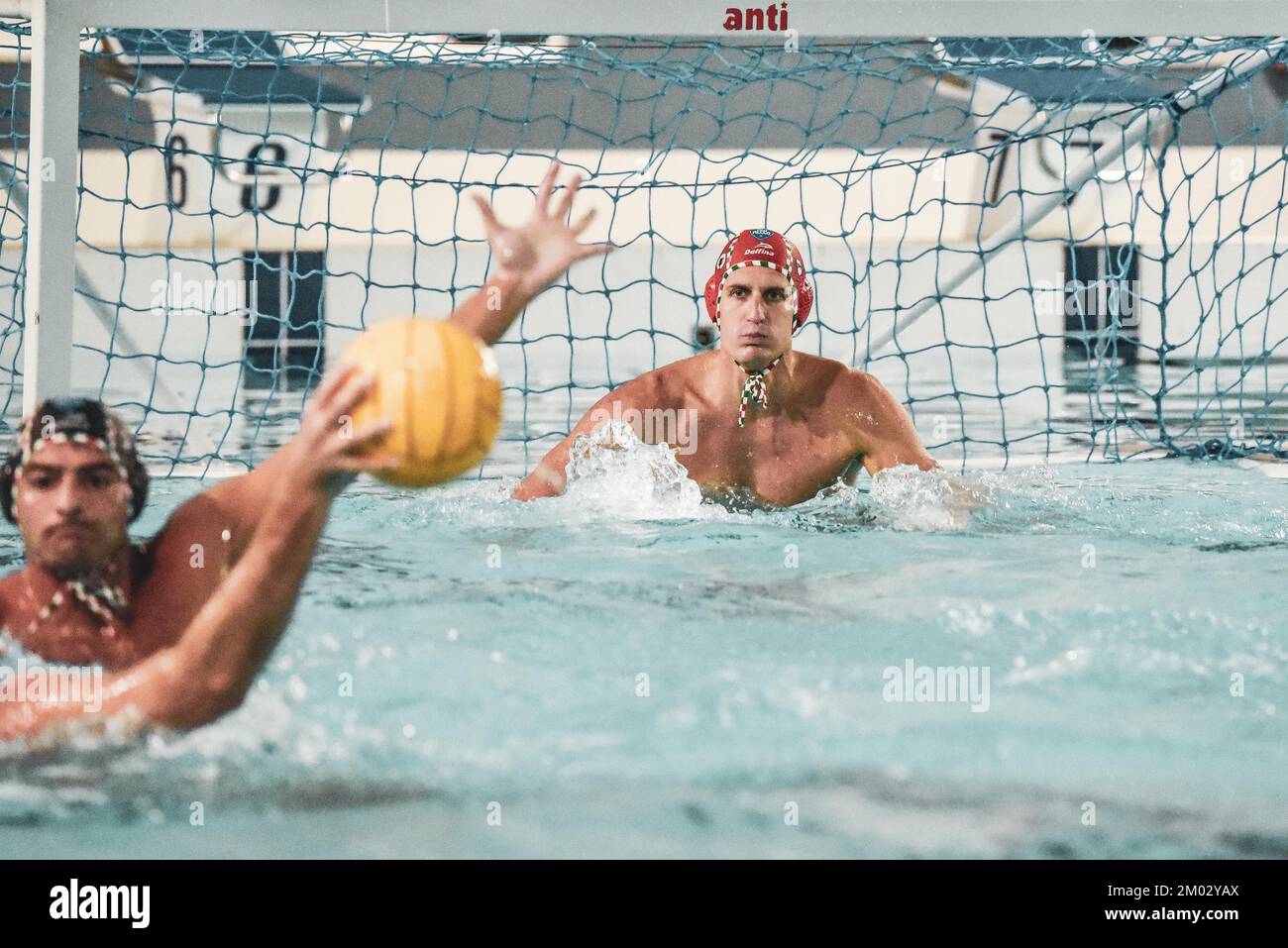 Anzio, Italy. 03rd Dec, 2022. Negri(Pro Recco) during Anzio Waterpolis vs Pro Recco, Waterpolo Italian Serie A match in Anzio, Italy, December 03 2022 Credit: Independent Photo Agency/Alamy Live News Stock Photo