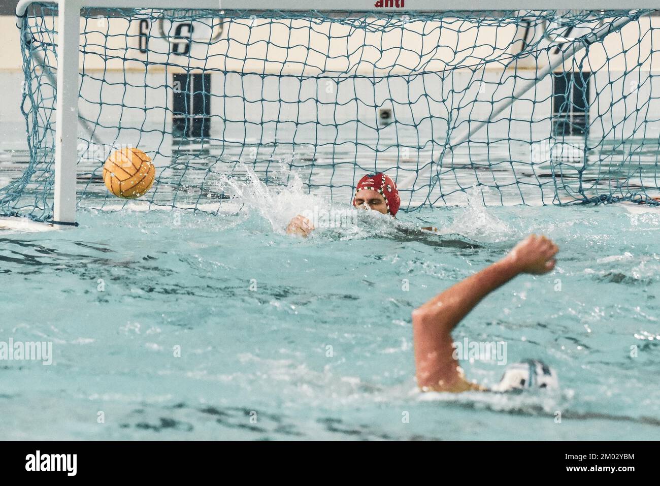 Anzio, Italy. 03rd Dec, 2022. Negri(Pro Recco) during Anzio Waterpolis vs Pro Recco, Waterpolo Italian Serie A match in Anzio, Italy, December 03 2022 Credit: Independent Photo Agency/Alamy Live News Stock Photo