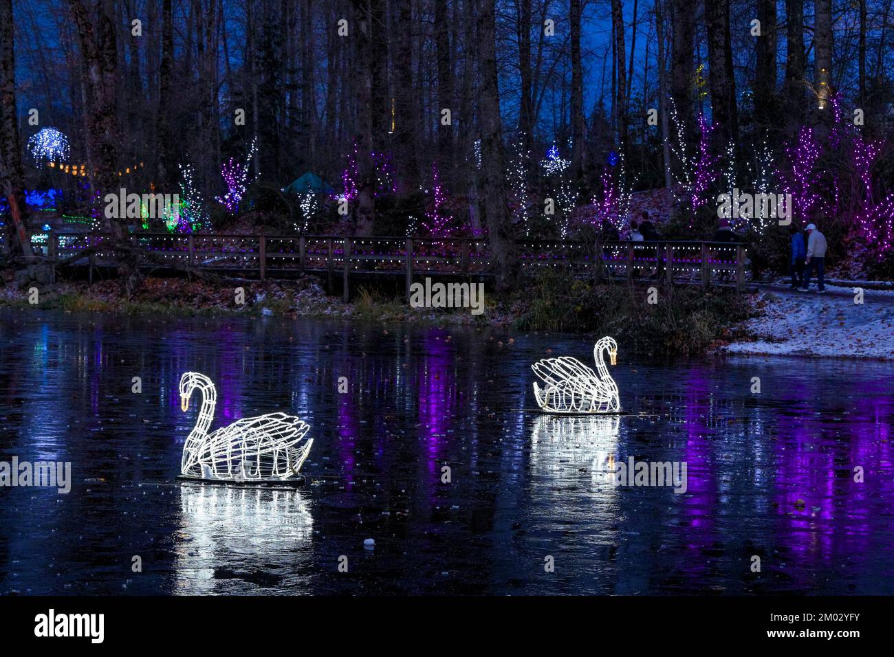 Holiday Light display, Lafarge Lake, Town Centre Park, Coquitlam, British Columbia, Canada. Stock Photo
