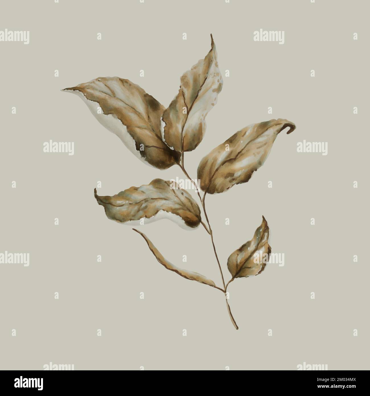 Watercolor autumn leaf. Hand drawn clipart isolated on grey background ...