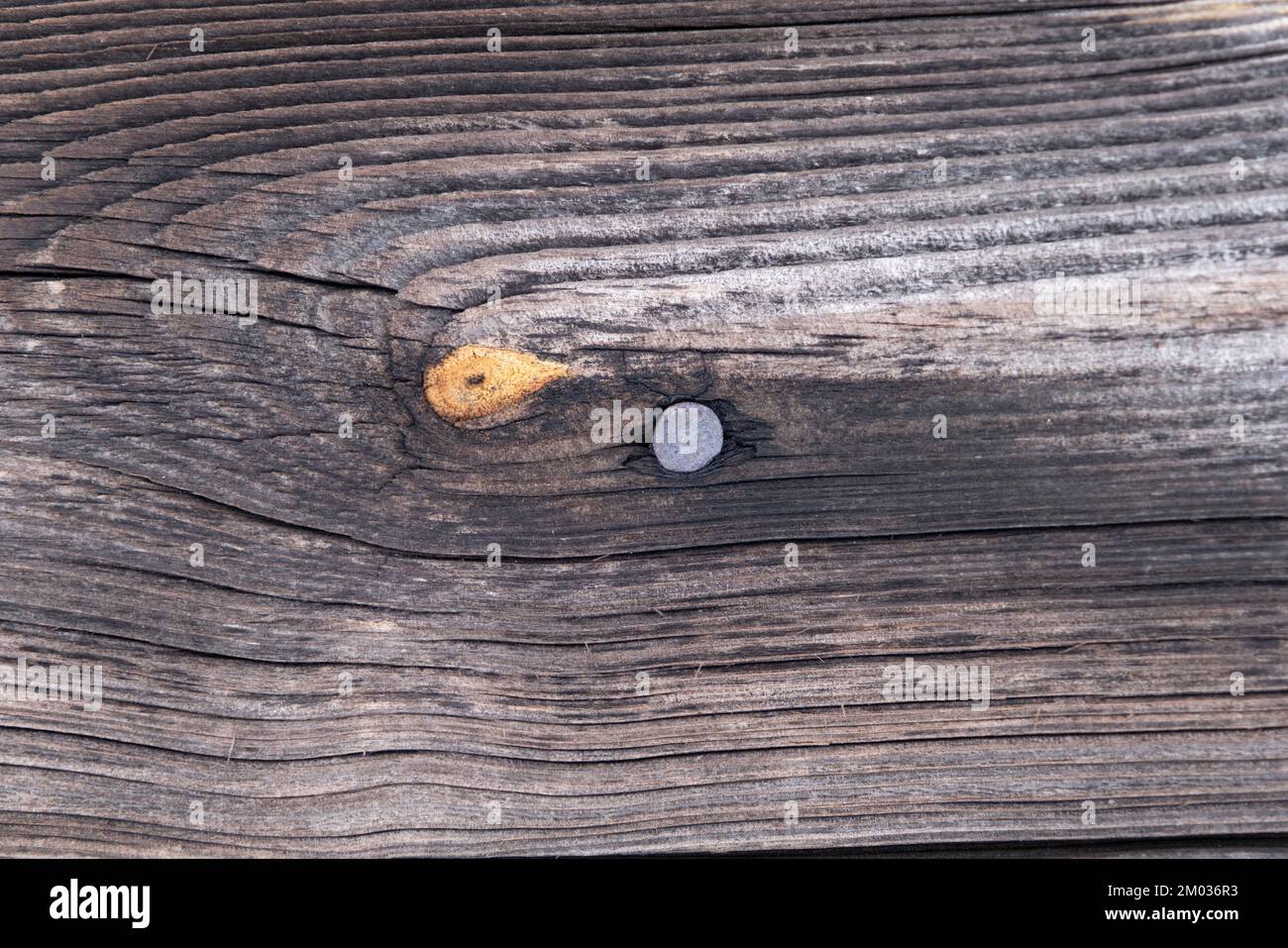 The old wood texture with natural patterns. Stock Photo