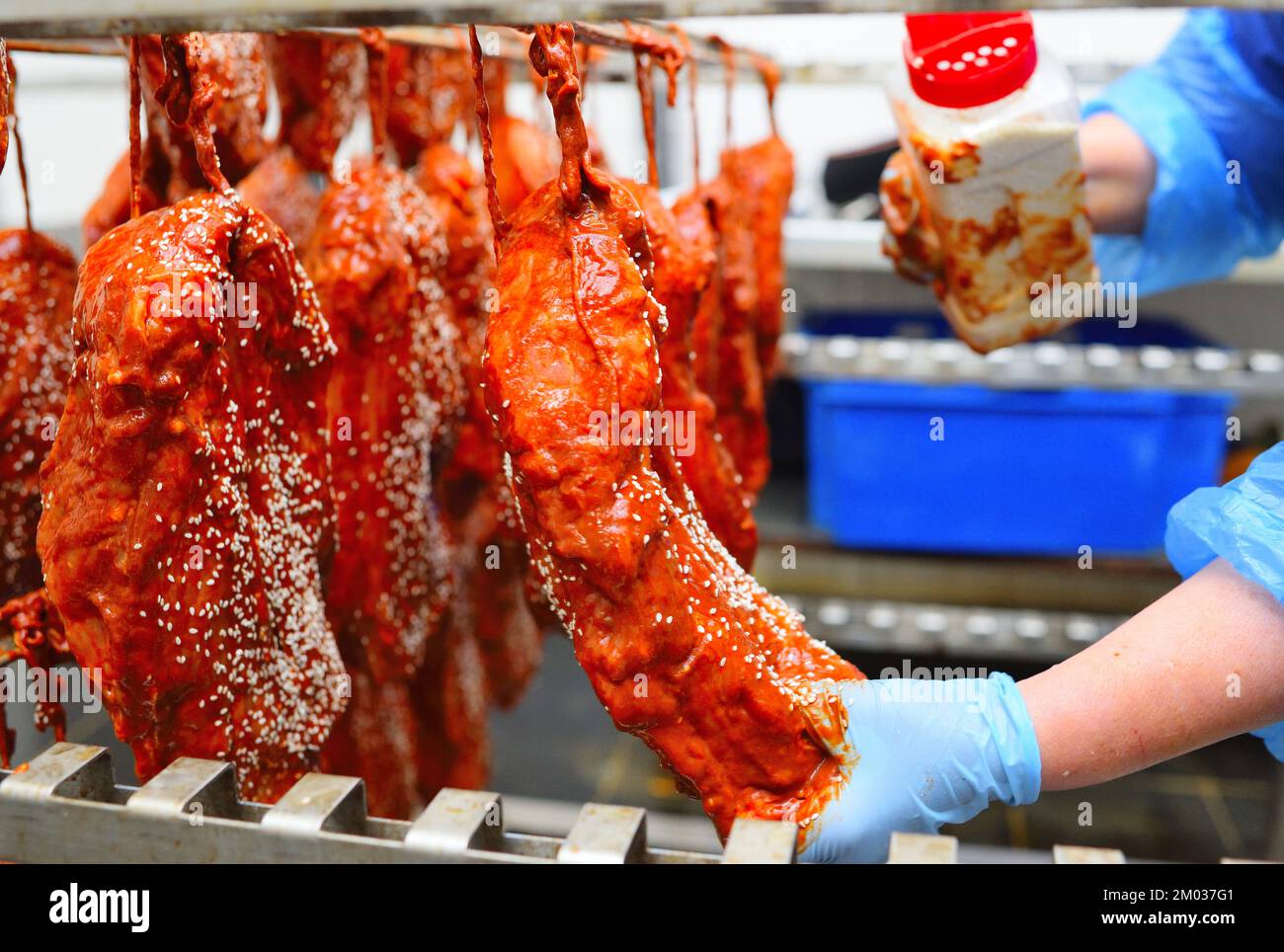 an employee of a butcher's shop or meatpacking plant sprinkles