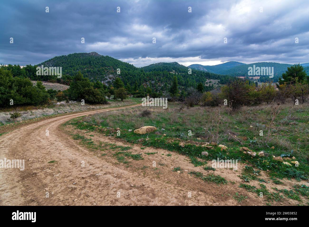 Rural road in autumn mountain and colorful trees on slopes. Avlonas ...