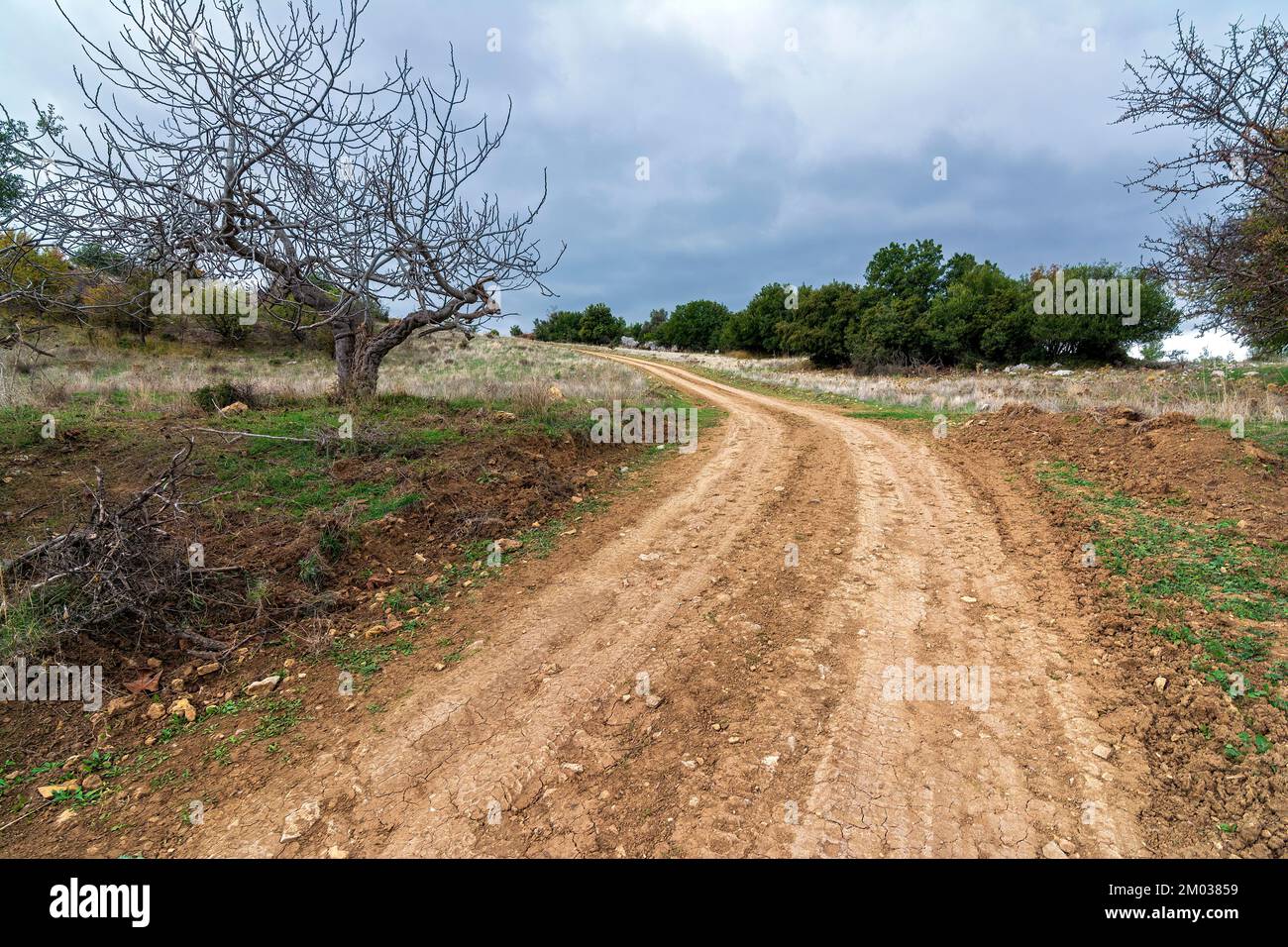 Rural road in autumn mountain and colorful trees on slopes. Avlonas ...